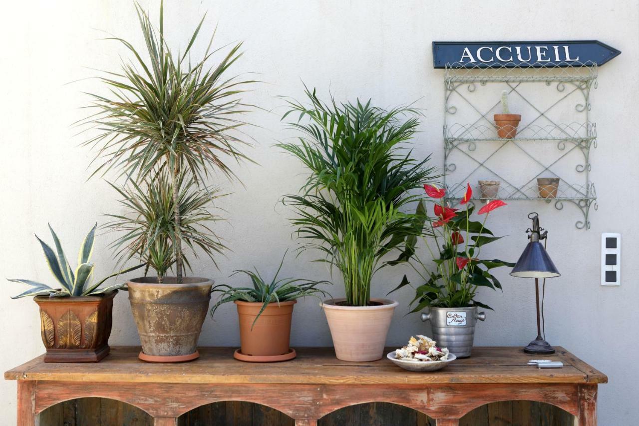 Bed and Breakfast Justin De Provence Orange  Exterior foto